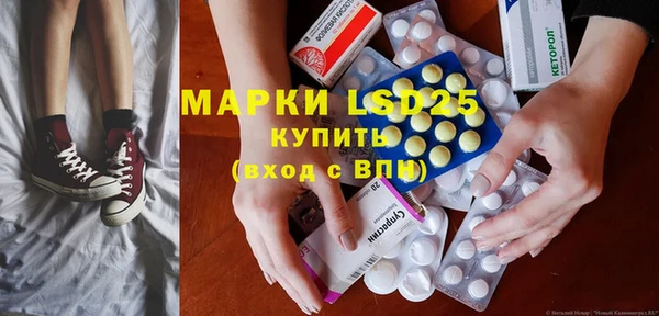 индика Армянск