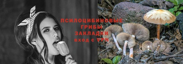 индика Армянск
