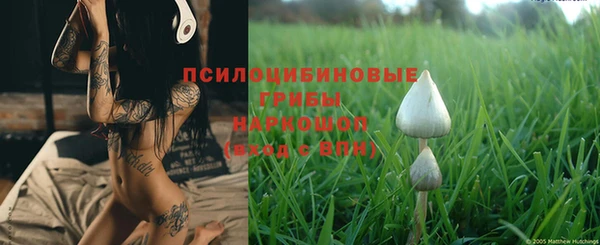 индика Армянск
